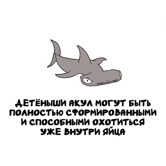 Интересные факты на все случаи жизни