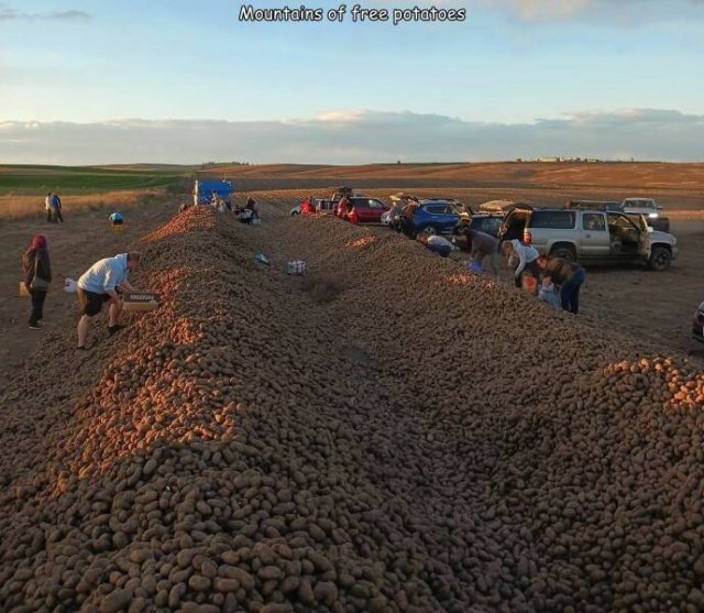 Подборка картинок. Вечерний выпуск - 30.10.2025