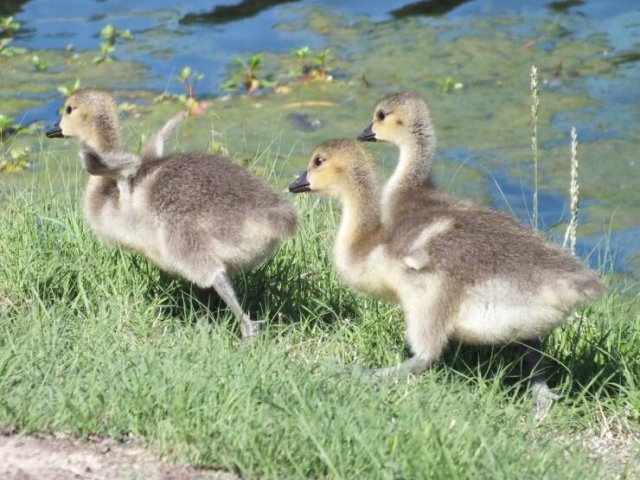 Подборка картинок. Вечерний выпуск - 30.10.2025