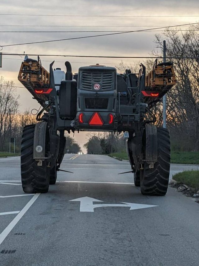 Подборка картинок. Вечерний выпуск - 30.10.2025