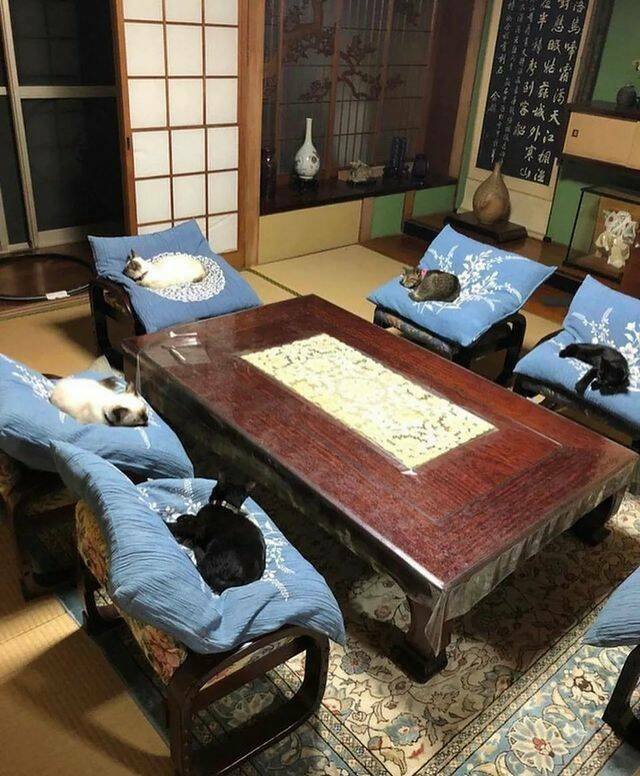 Подборка картинок. Вечерний выпуск - 30.10.2025