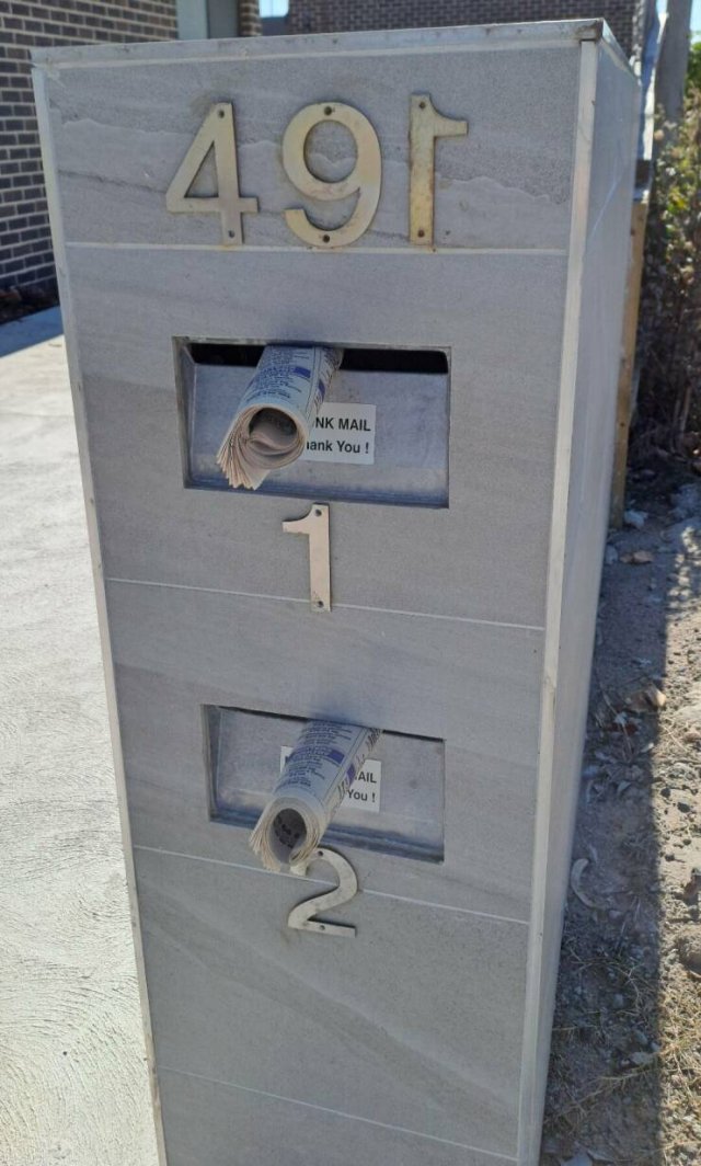 Подборка картинок. Вечерний выпуск - 30.10.2025