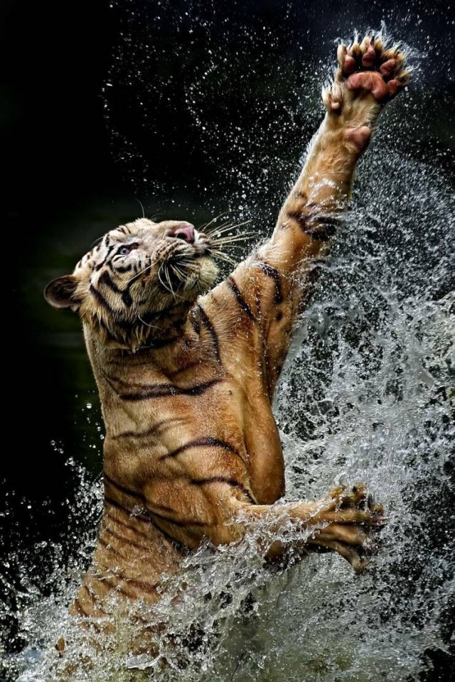 Подборка картинок. Вечерний выпуск - 30.10.2025