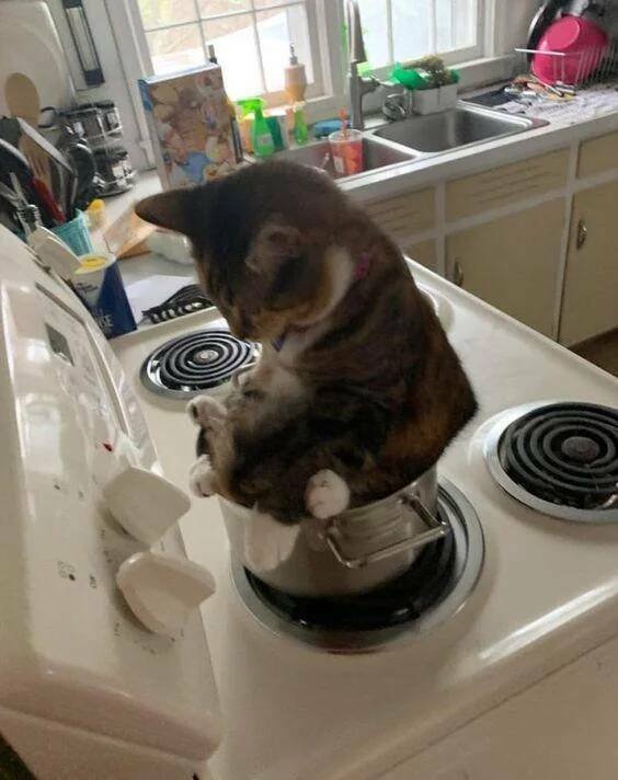 Подборка картинок. Вечерний выпуск - 30.10.2025