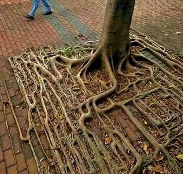 Подборка картинок. Вечерний выпуск - 30.10.2025