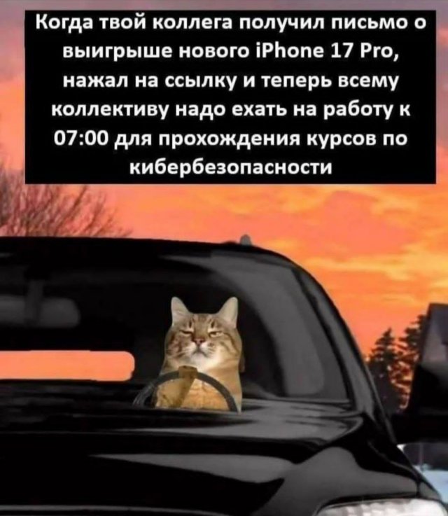 Лучшие шутки и мемы из Сети - 30.10.2025