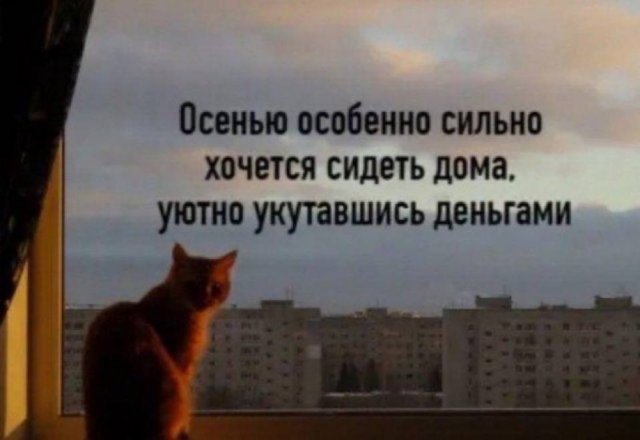 Лучшие шутки и мемы из Сети - 30.10.2025