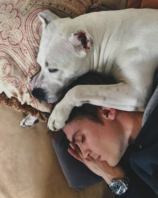 Иван Янковский отметил 35-летие: лучшие фото актера