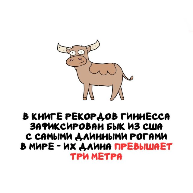 Интересные факты на все случаи жизни