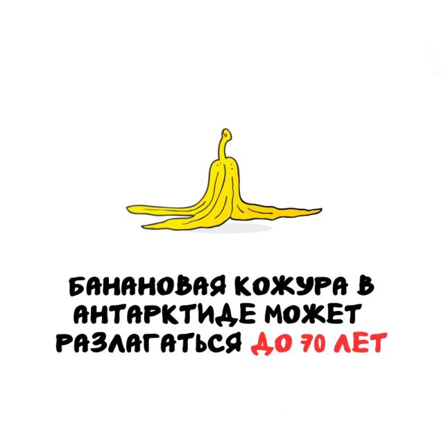 Интересные факты на все случаи жизни