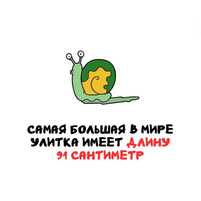 Интересные факты на все случаи жизни