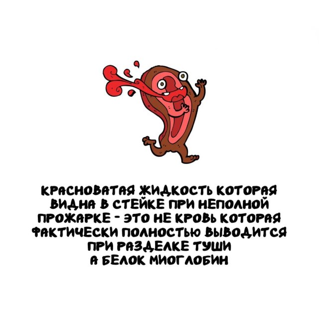 Интересные факты на все случаи жизни