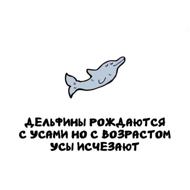 Интересные факты на все случаи жизни