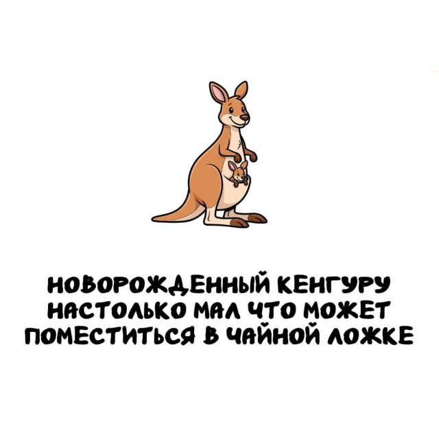 Интересные факты на все случаи жизни