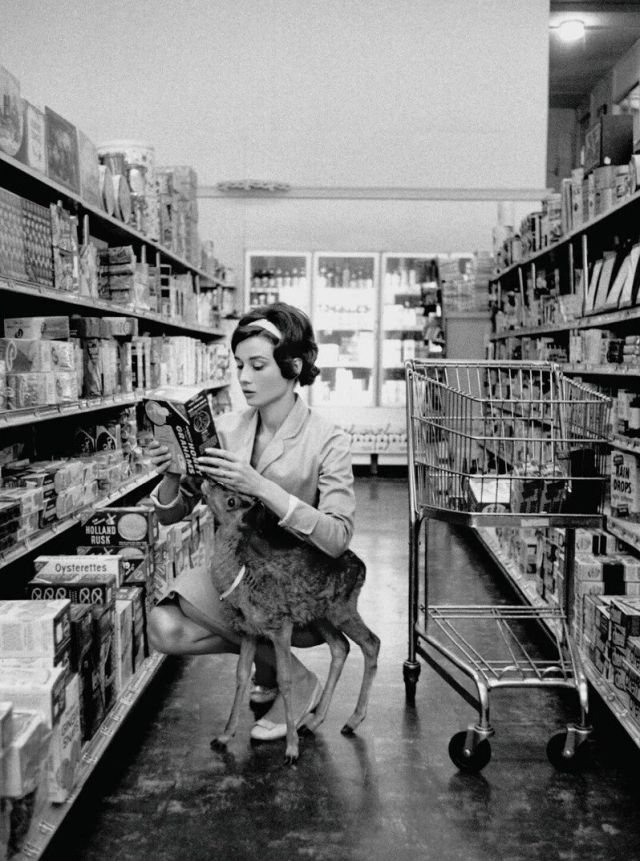 Одри Хэпберн в магазине Беверли Хиллз вместе со своим домашним оленем, 1956 год. Одри Хэпберн в магазине Беверли Хиллз вместе со своим домашним оленем, 1956 год.