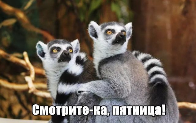 Трынделка - 31.10.2025