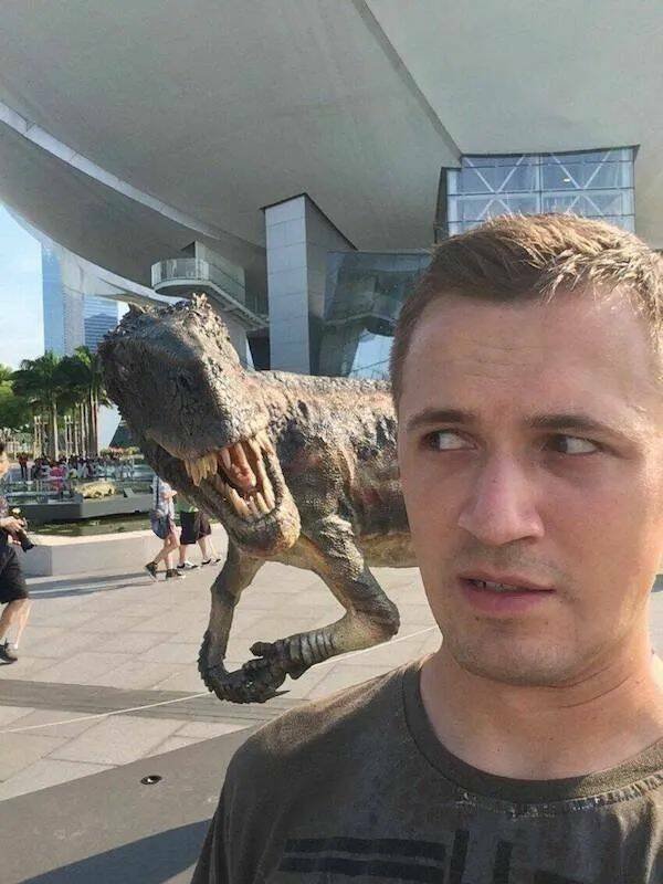 Подборка картинок. Вечерний выпуск - 31.10.2025