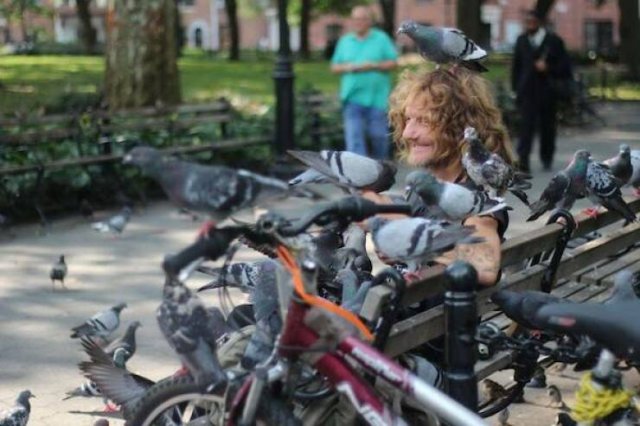 Подборка картинок. Вечерний выпуск - 31.10.2025