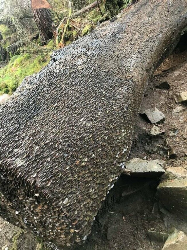 Подборка картинок. Вечерний выпуск - 31.10.2025