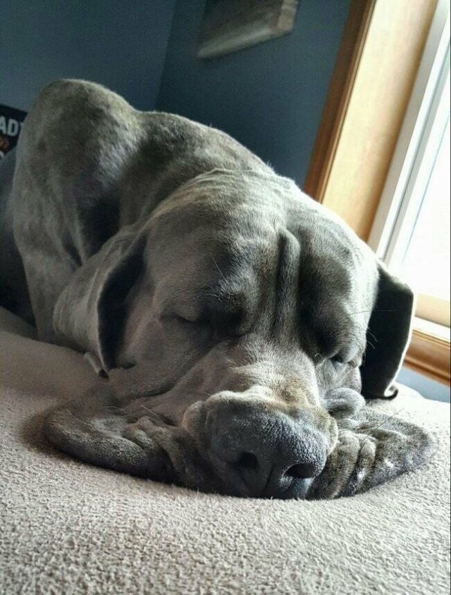 Подборка картинок. Вечерний выпуск - 31.10.2025