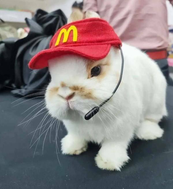 Подборка картинок. Вечерний выпуск - 31.10.2025