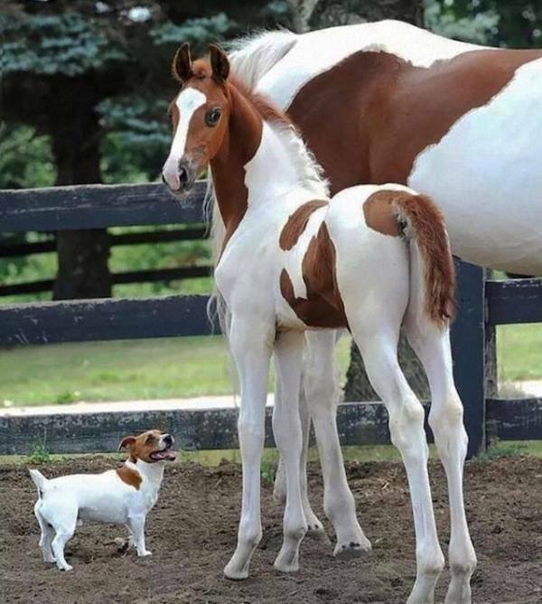 Подборка картинок. Вечерний выпуск - 31.10.2025