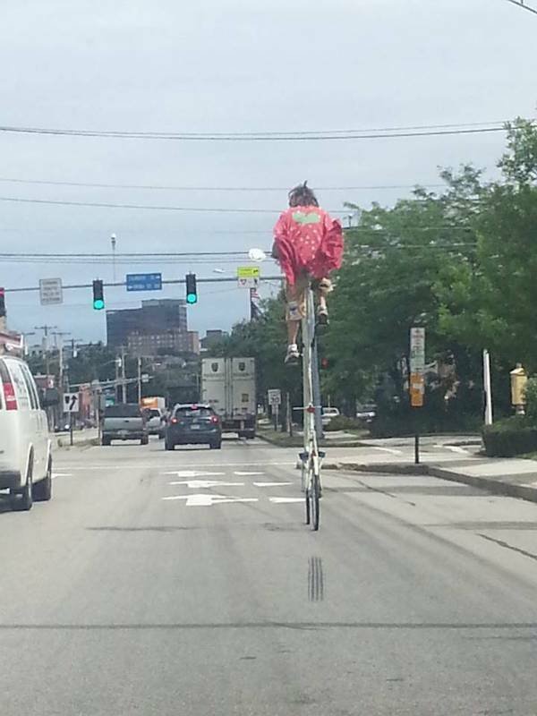 Подборка картинок. Вечерний выпуск - 31.10.2025