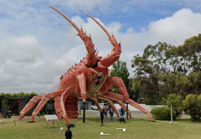 Подборка картинок. Вечерний выпуск - 31.10.2025