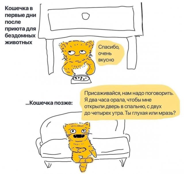 Лучшие шутки и мемы из Сети - 31.10.2025