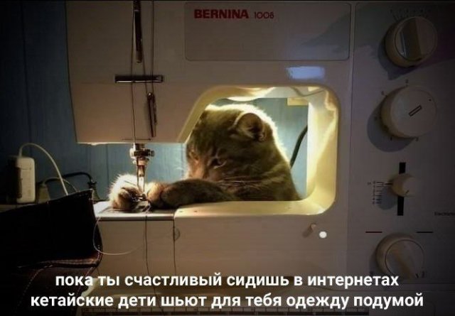 Лучшие шутки и мемы из Сети - 31.10.2025