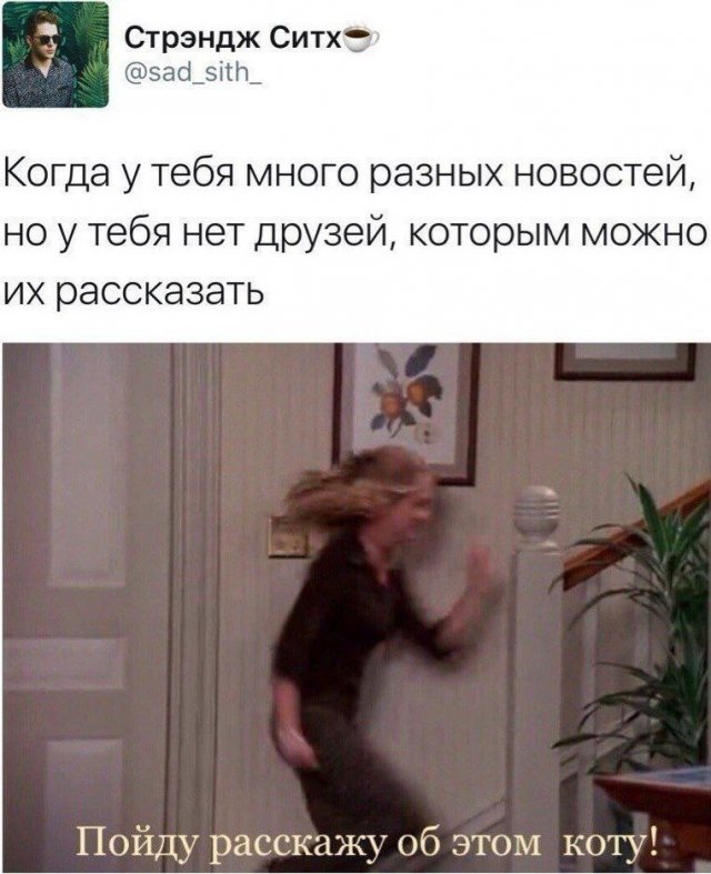 Лучшие шутки и мемы из Сети - 31.10.2025