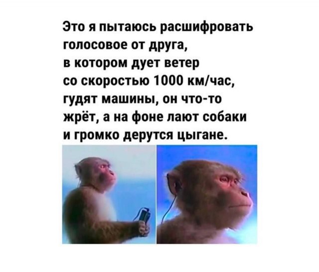 Лучшие шутки и мемы из Сети - 31.10.2025