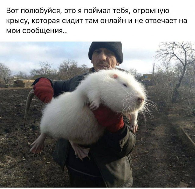 Смешные мемы - 03.11.2025