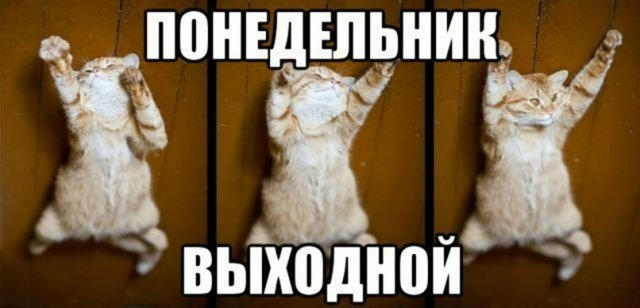 Смешные мемы - 03.11.2025