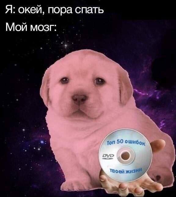 Смешные мемы - 03.11.2025