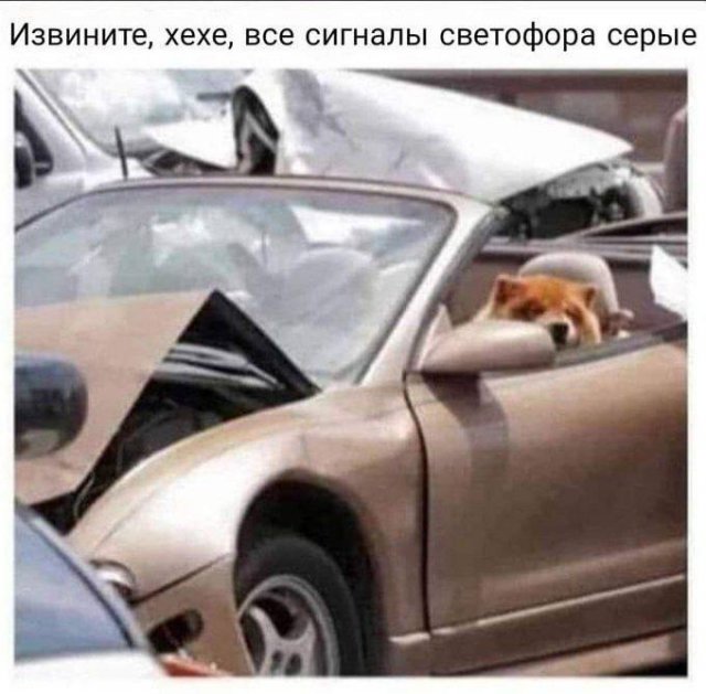 Смешные мемы - 03.11.2025