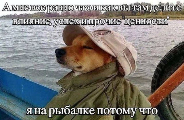 Смешные мемы - 03.11.2025