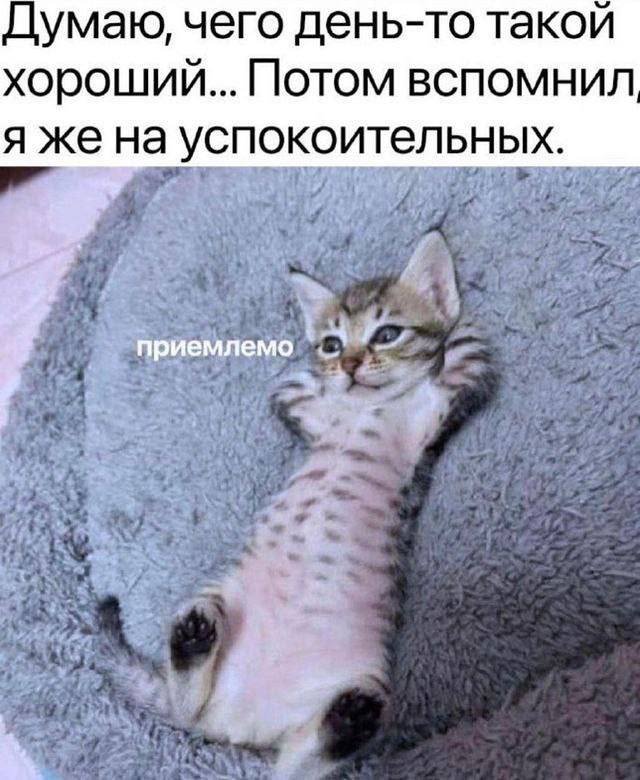 Смешные мемы - 03.11.2025