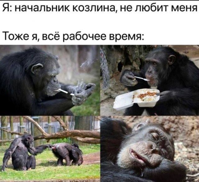 Смешные мемы - 03.11.2025