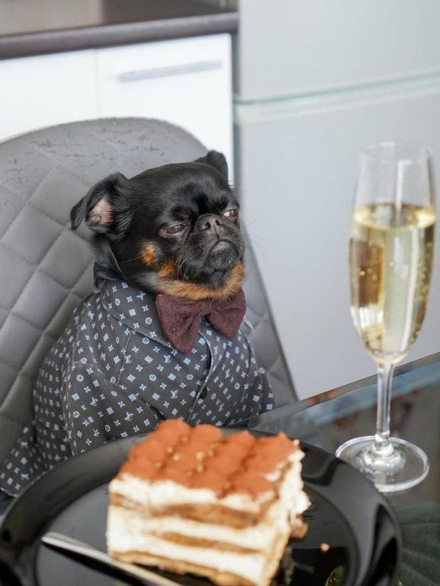 Унылый Чарли — новая звезда интернета