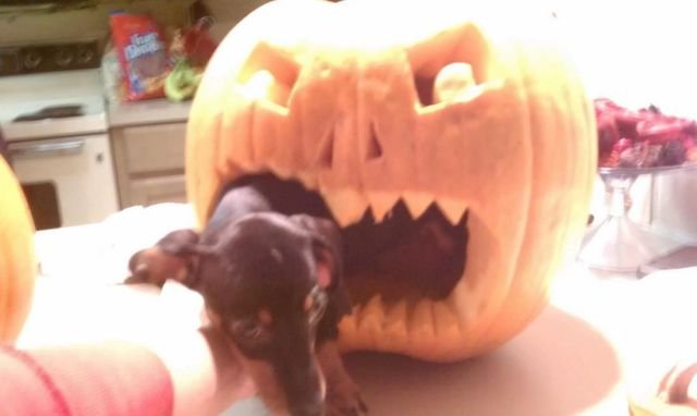 Подборка картинок. Вечерний выпуск - 03.11.2025