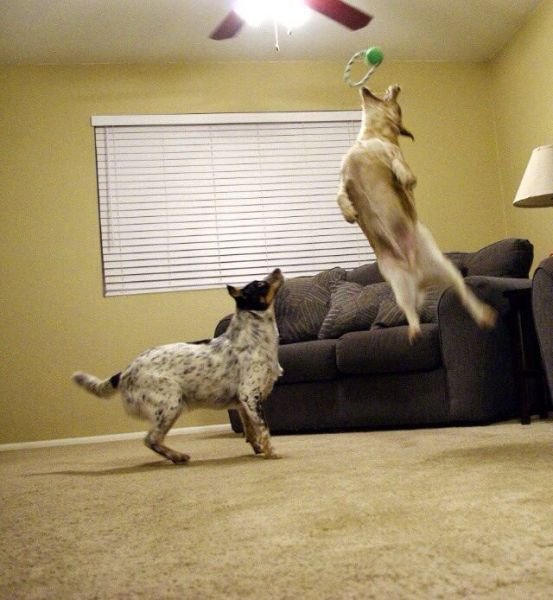 Подборка картинок. Вечерний выпуск - 03.11.2025