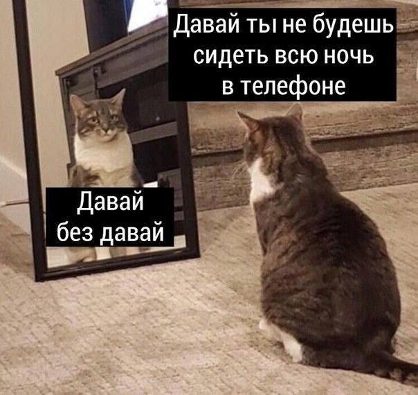 Лучшие шутки и мемы из Сети - 03.11.2025