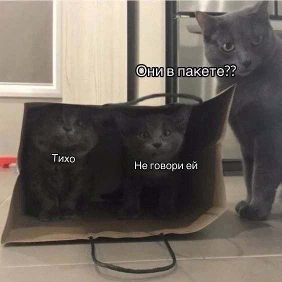 Лучшие шутки и мемы из Сети - 03.11.2025