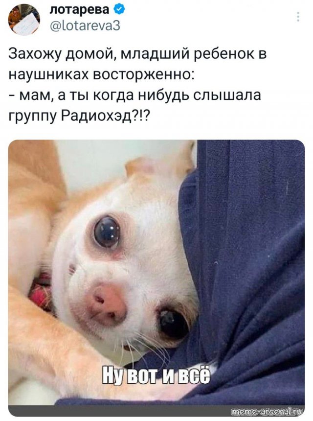 Подборка забавных твитов обо всем