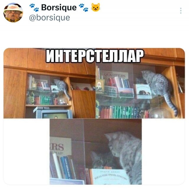 Подборка забавных твитов обо всем