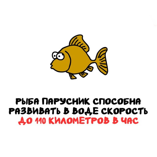 Интересные факты на все случаи жизни