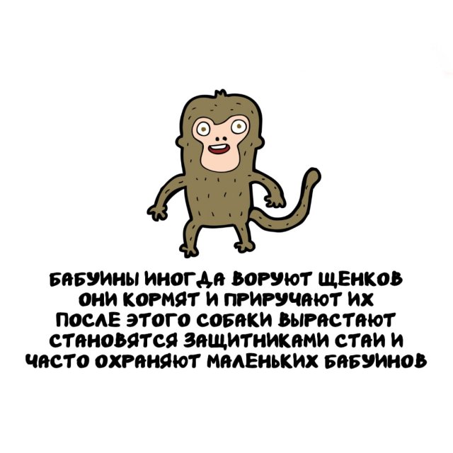 Интересные факты на все случаи жизни