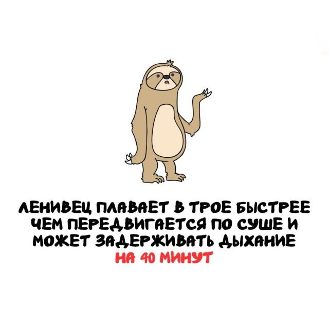 Интересные факты на все случаи жизни