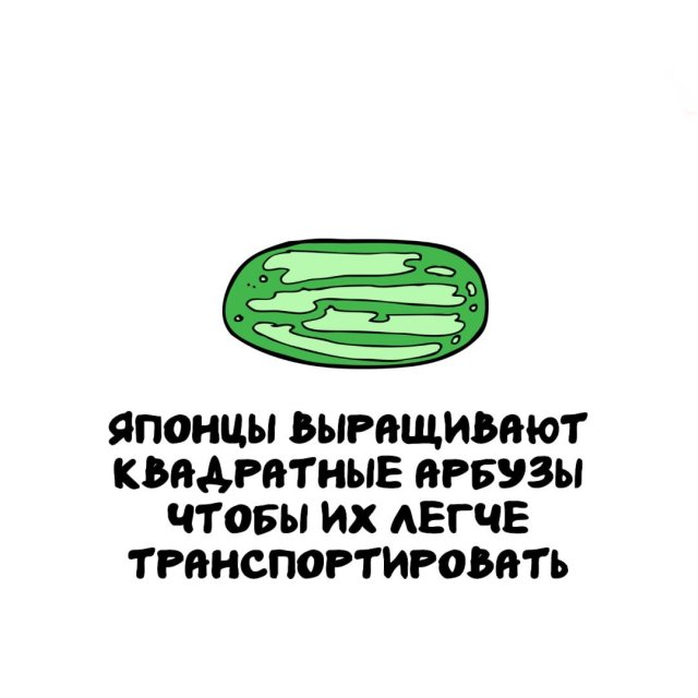 Интересные факты на все случаи жизни